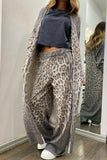 Casual Print Leopard Pocket Cardigan Collar Long Sleeve Two Pieces