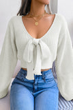 Sexy Solid With Bow V Neck Tops(4 Colors)
