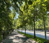 Herăstrău Park – attractions and visits