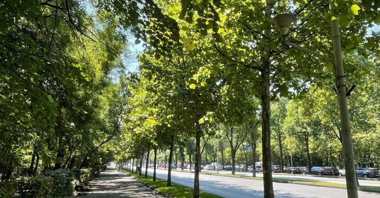 Herastrau Park Bucharest