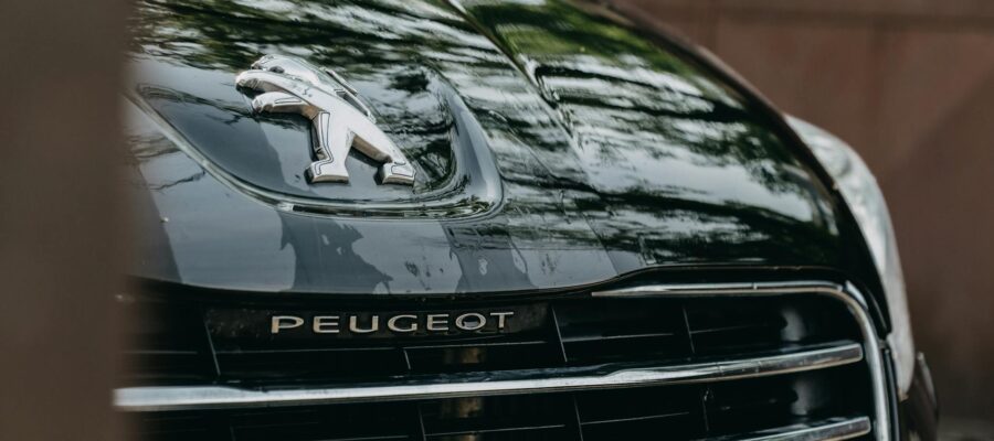 Stellantis will produce Peugeot and Jeep models specifically for the Chinese market